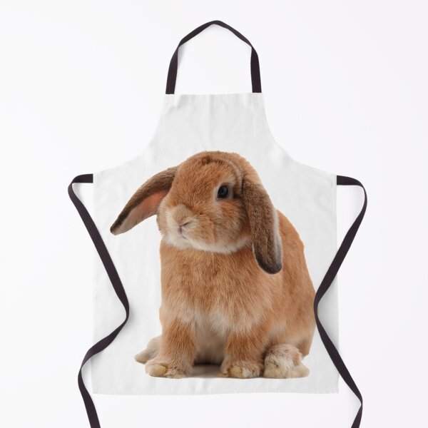 Item preview, Lop Eared Rabbit designed and sold by DoodleDashCollective.