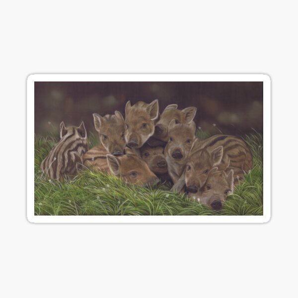 Wild Boar Humbugs Sticker