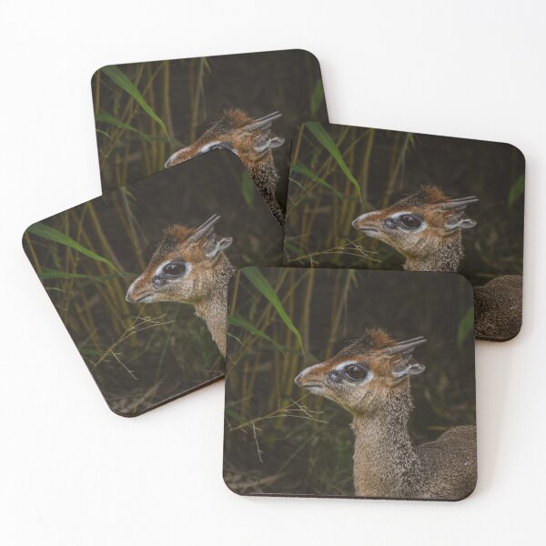 Item preview, Cute dik dik designed and sold by cdkphotos.
