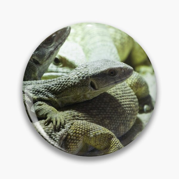 Item preview, Lizards designed and sold by Susssanne.