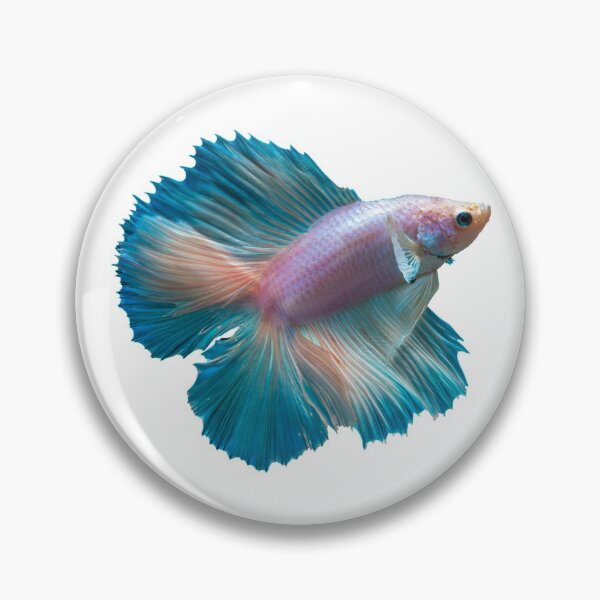 Item preview, Rainbow Fish designed and sold by DoodleDashCollective.