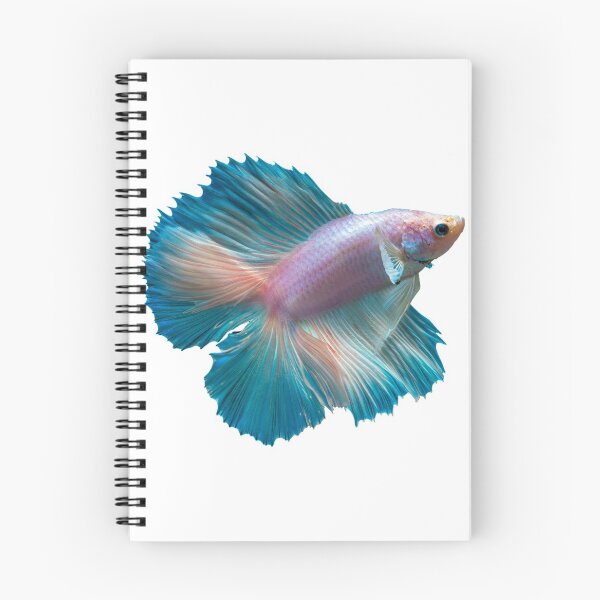 Item preview, Rainbow Fish designed and sold by DoodleDashCollective.