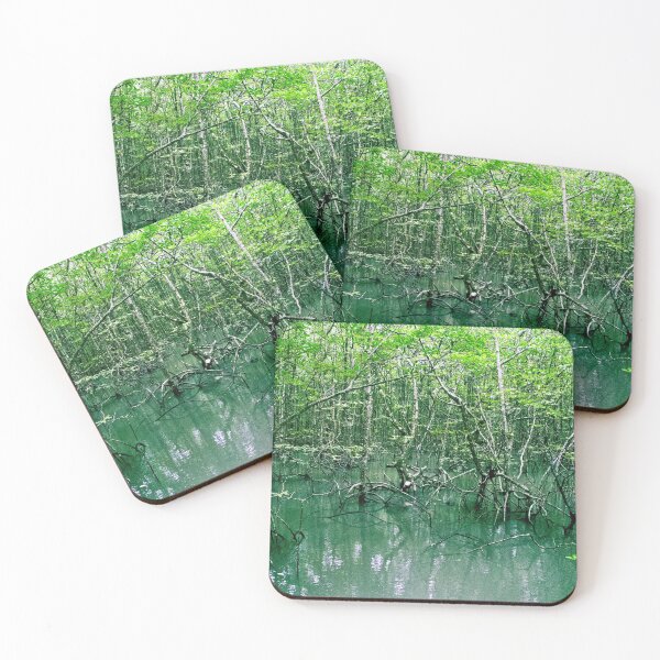 Item preview, Swamp in Langkawi, Malaysia designed and sold by GoSoloTravel.
