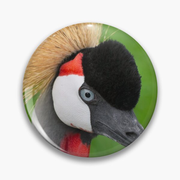 Item preview, Greay crowned crane designed and sold by cdkphotos.