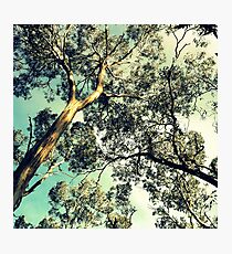 High Photographic Print