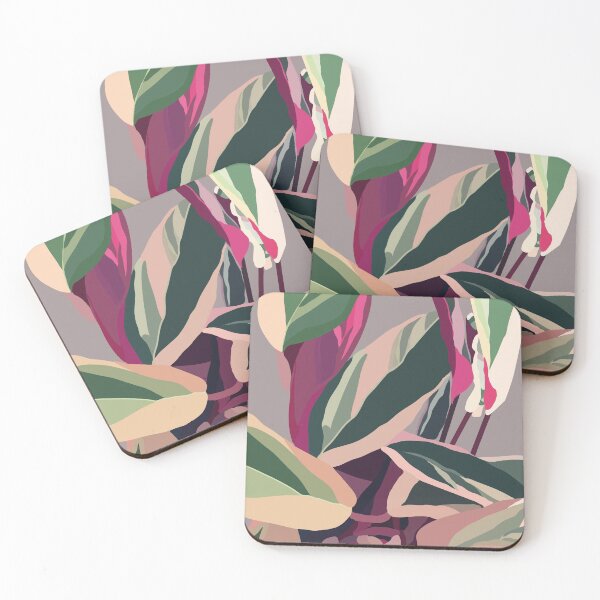 Item preview, Stromanthe Sanguinea Tricolour - Pink Rubber Plant - Calathea Triostar Illustration designed and sold by thelustrous.