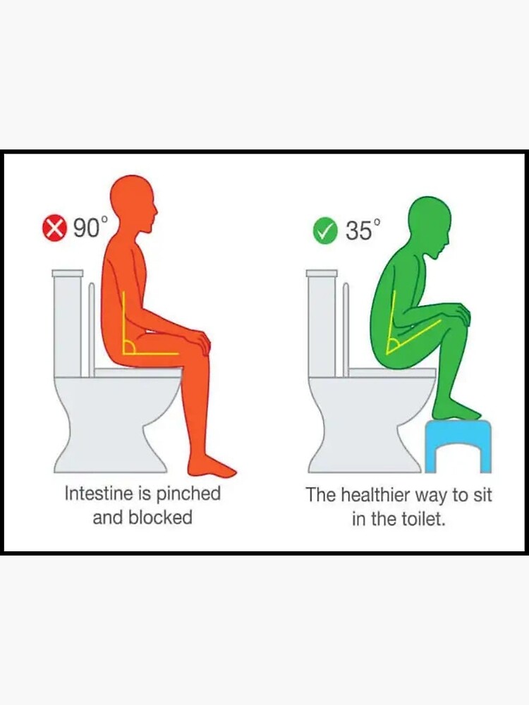 proper-way-to-sit-on-a-toilet-poster-by-lendadoafrobeat-redbubble