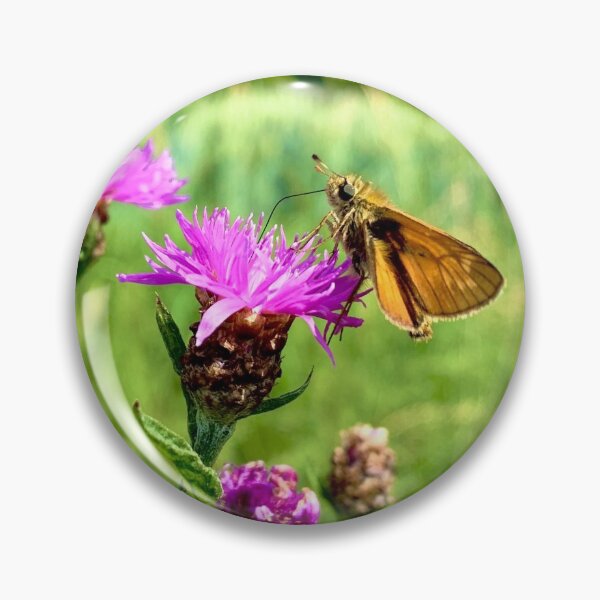 Item preview, Brown Knapweed And Butterfly designed and sold by Charu894.