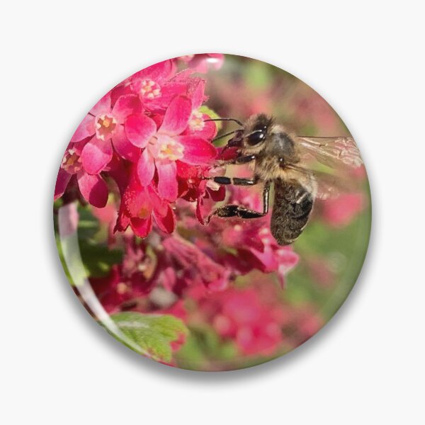 Item preview, Bee On Flowering Currant designed and sold by Charu894.