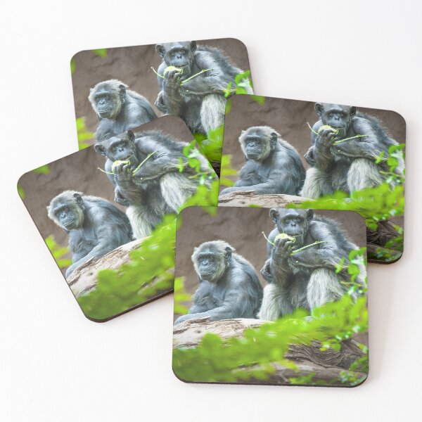 Item preview, Chimpanzees designed and sold by Susssanne.