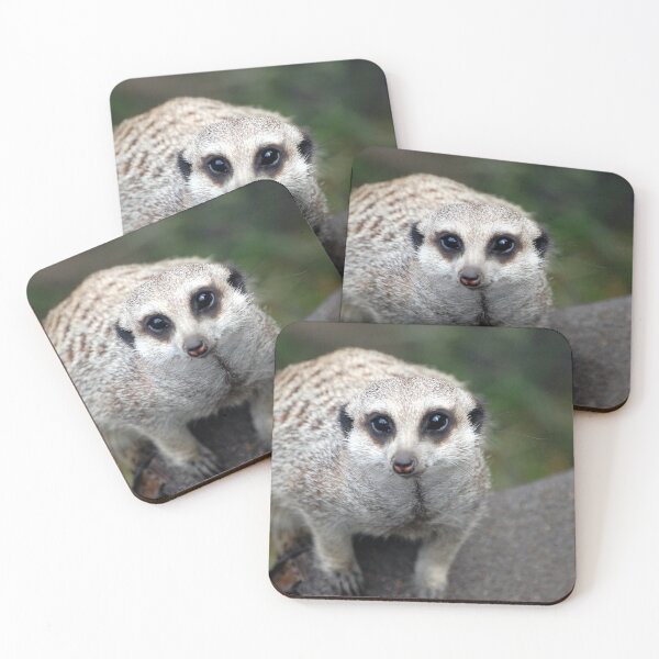 Item preview, Curious Meerkat designed and sold by Susssanne.