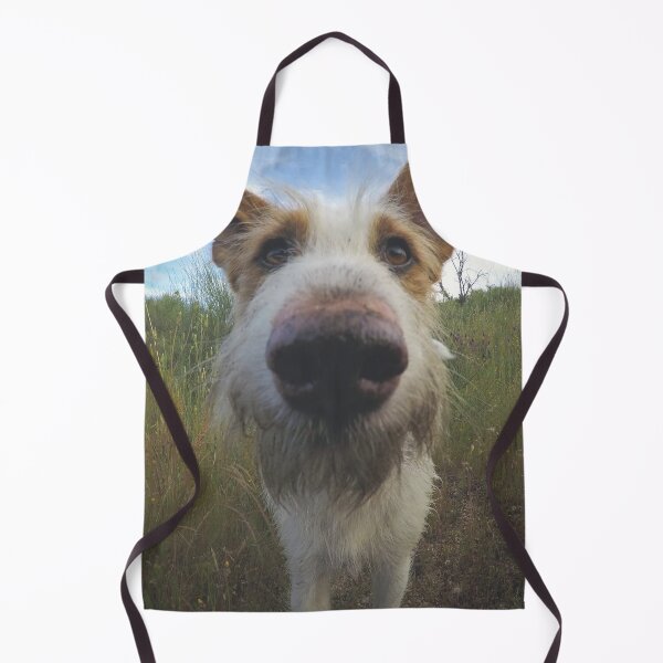 Molly Poppity Apron