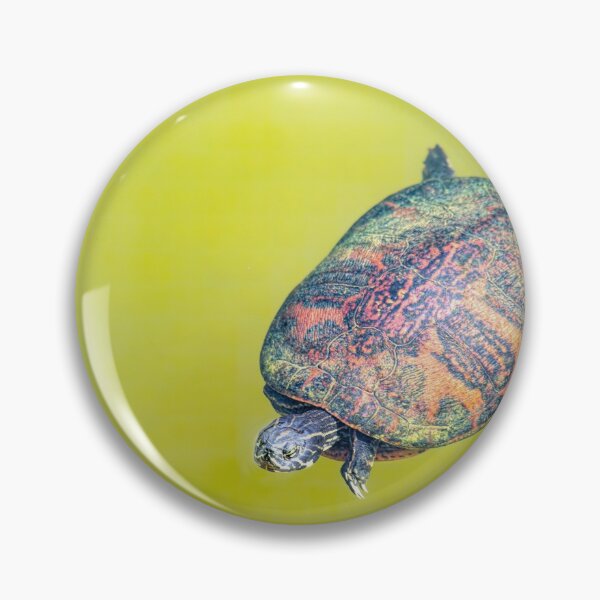 Item preview, Arizona Water Turtle designed and sold by Elisabeth Lucas.