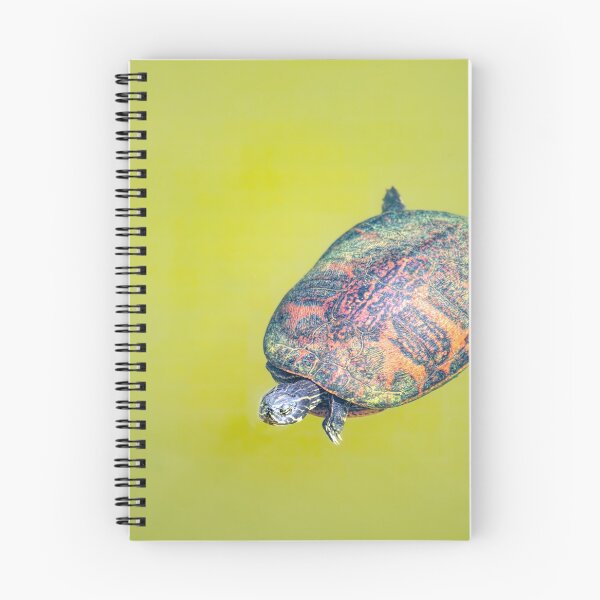Item preview, Arizona Water Turtle designed and sold by Elisabeth Lucas.