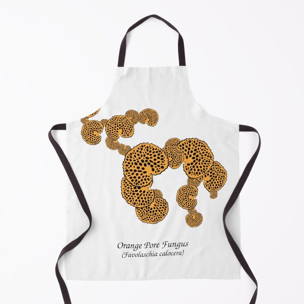 Item preview, Orange Pore Fungus in Color designed and sold by MossyBurrow.