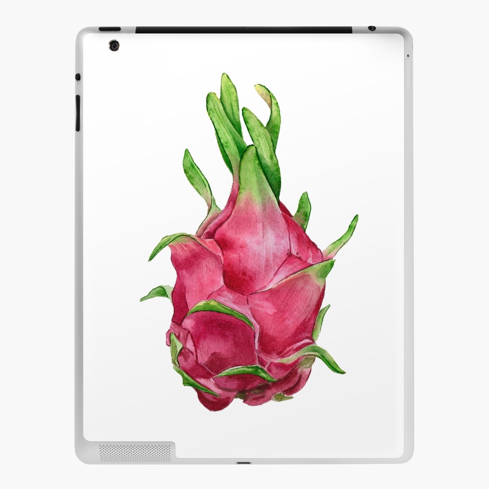 Dragon fruit continuous one line drawing, fruit vector illustration.  23783594 Vector Art at Vecteezy