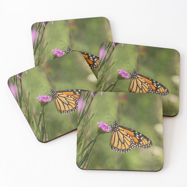 Item preview, Fall Monarch 2016-13 designed and sold by Thomasyoung.