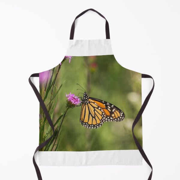 Item preview, Fall Monarch 2016-13 designed and sold by Thomasyoung.
