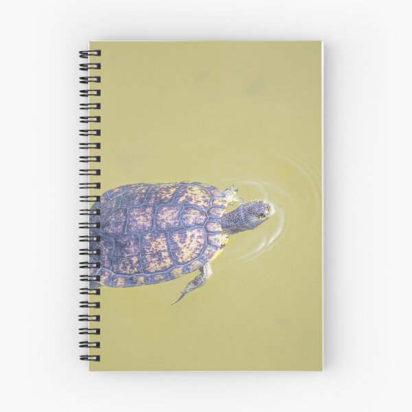 Item preview, Arizona Aquatic Turtle designed and sold by Elisabeth Lucas.