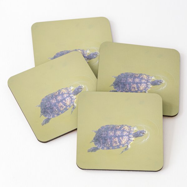 Item preview, Arizona Aquatic Turtle designed and sold by Elisabeth Lucas.