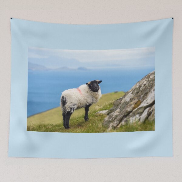 Item preview, Cute sheep on the hills of Achill Island, County Mayo on the west coast of the Republic of Ireland   designed and sold by AlbertMi.
