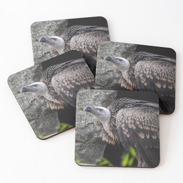 Item preview, Griffon vulture designed and sold by cdkphotos.