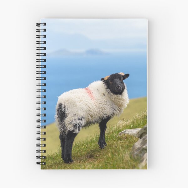 Item preview, Cute sheep on the hills of Achill Island, County Mayo on the west coast of the Republic of Ireland   designed and sold by AlbertMi.