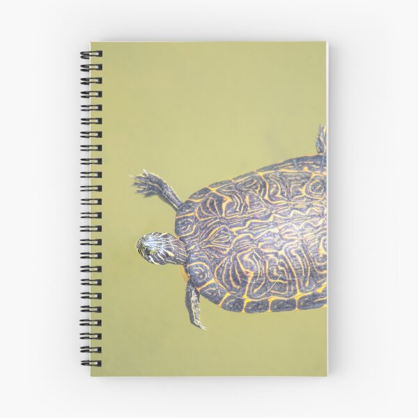 Item preview, Swimming Painted Turtle designed and sold by Elisabeth Lucas.
