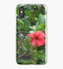 RED FLOWER iPhone Case/Skin