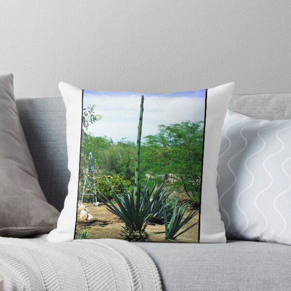 Item preview, Arizona Landscapes 1 designed and sold by Dennis Begnoche.