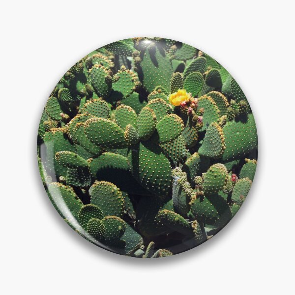 Item preview, Arizona Cacti designed and sold by Dennis Begnoche.