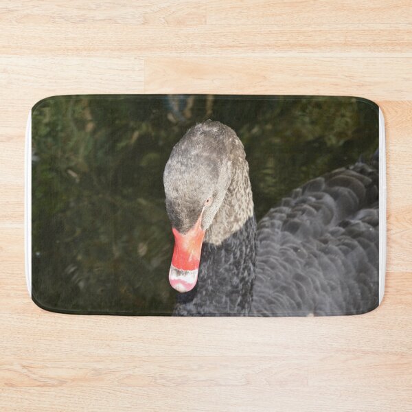 Artikelvorschau, Australischer Schwarzer Schwan entworfen und verkauft von MottoDigging.