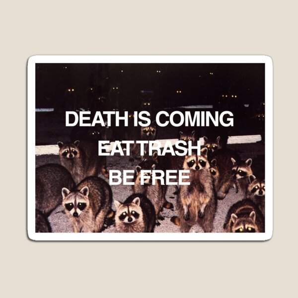 Item preview, Raccoon Eat Trash Be Free designed and sold by betiobca.