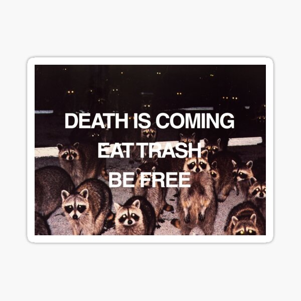 Item preview, Raccoon Eat Trash Be Free designed and sold by betiobca.