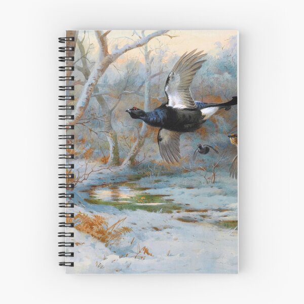 Item preview, Black Grouse in Flight in a Winter Woodland - Archibald Thorburn - 1923 designed and sold by CJET.