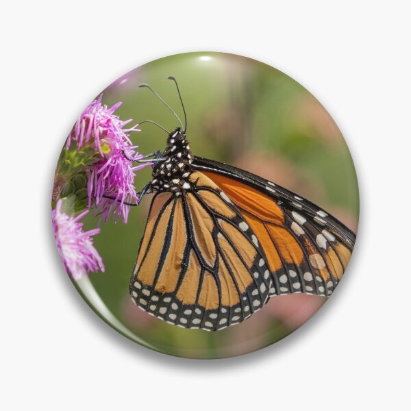 Item preview, Fall Monarch 2016-14 designed and sold by Thomasyoung.