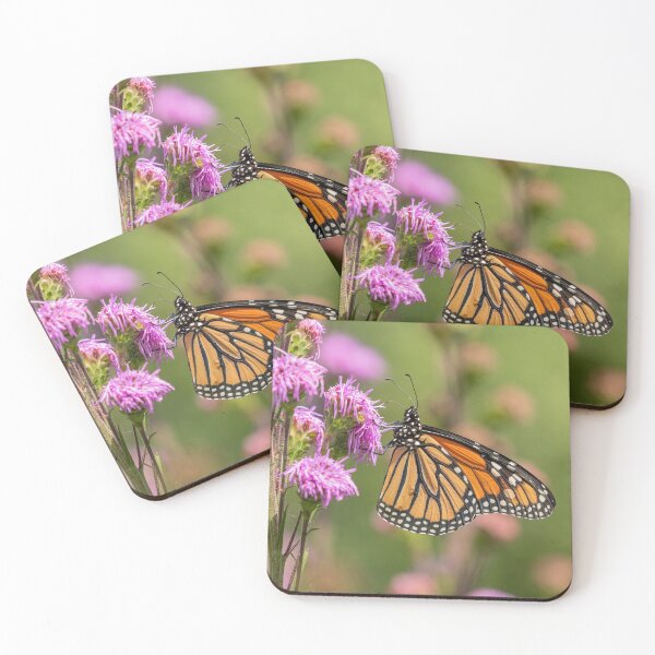 Item preview, Fall Monarch 2016-14 designed and sold by Thomasyoung.