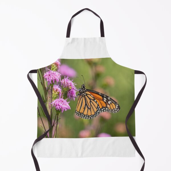 Item preview, Fall Monarch 2016-14 designed and sold by Thomasyoung.