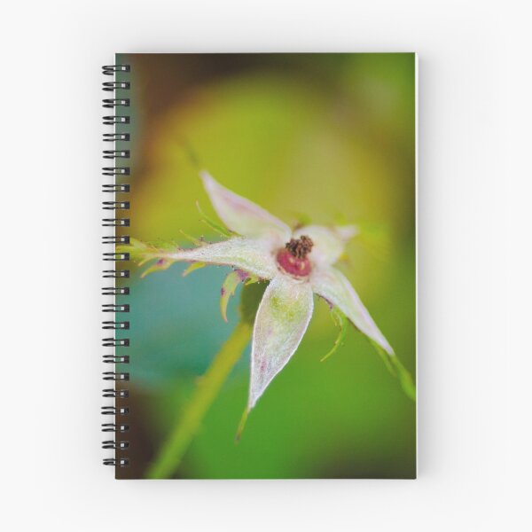 Item preview, China rose  designed and sold by Efineart.