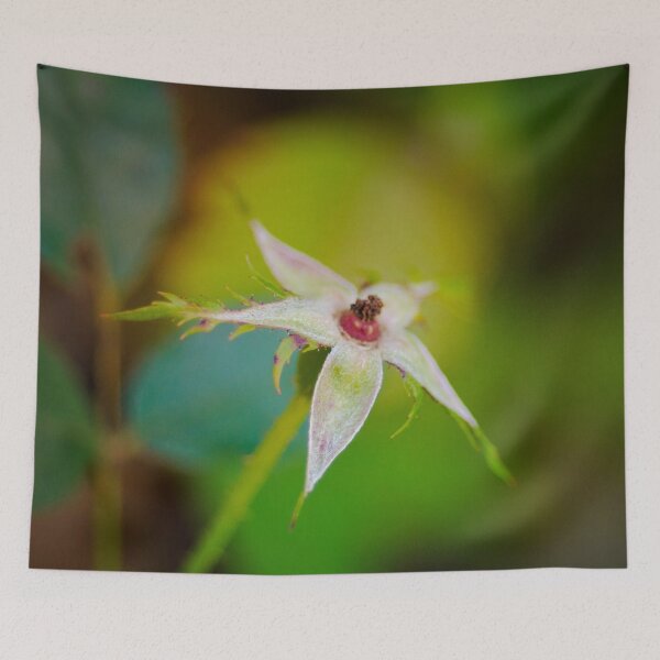 Item preview, China rose  designed and sold by Efineart.