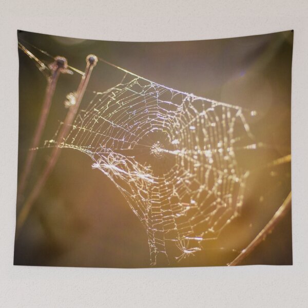 Item preview, Spider web in the sun designed and sold by Efineart.