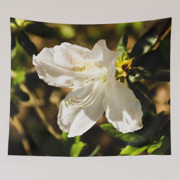 Item preview, White Flower 20 designed and sold by rebeccaholbrook.