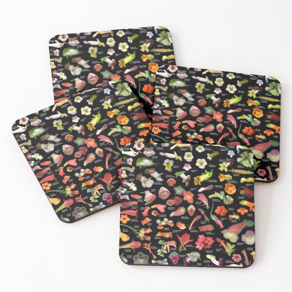Item preview, Gesneriaceae of Costa Rica designed and sold by Ricardo Kriebel.