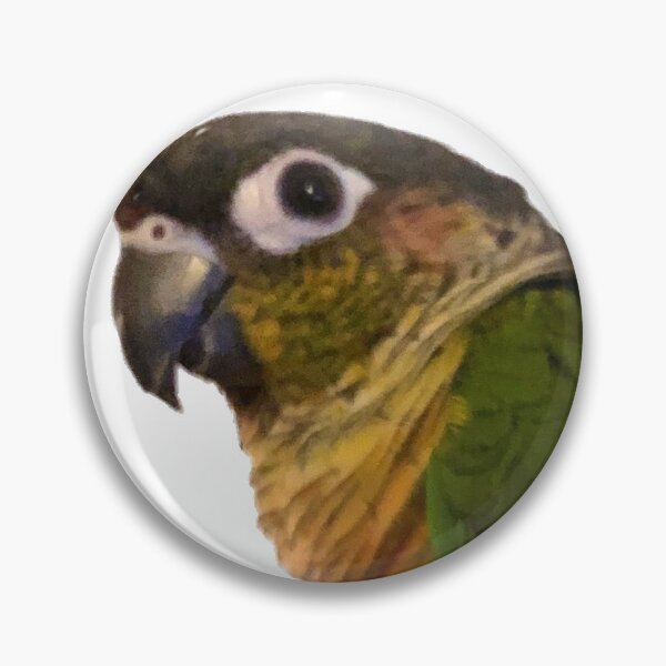 Item preview, Green Cheek Conure design | Conure | Small Parrot | Parakeet | Parrot lover designed and sold by TatianaLG.