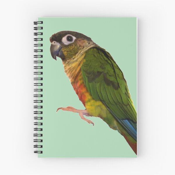 Item preview, Green Cheek Conure design | Conure | Small Parrot | Parakeet | Parrot lover designed and sold by TatianaLG.