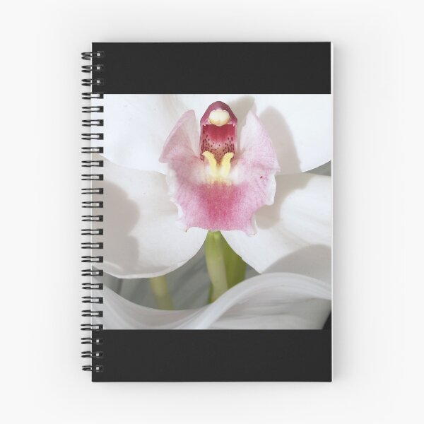 Item preview, Orchid and Vase designed and sold by BC Family.
