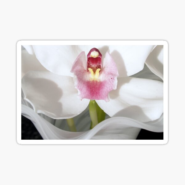 Orchid and Vase Sticker