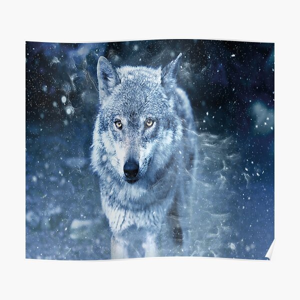 Posters Sur Le Theme Loup Des Neiges Redbubble