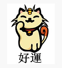 Ms. Meowth Photographic Print
