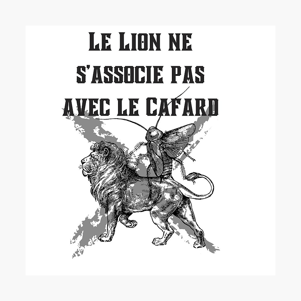 Le Lion Ne S Associe Pas Avec Le Cafard Poster « Le lion ne s'associe pas avec le cafard », par Amliink | Redbubble